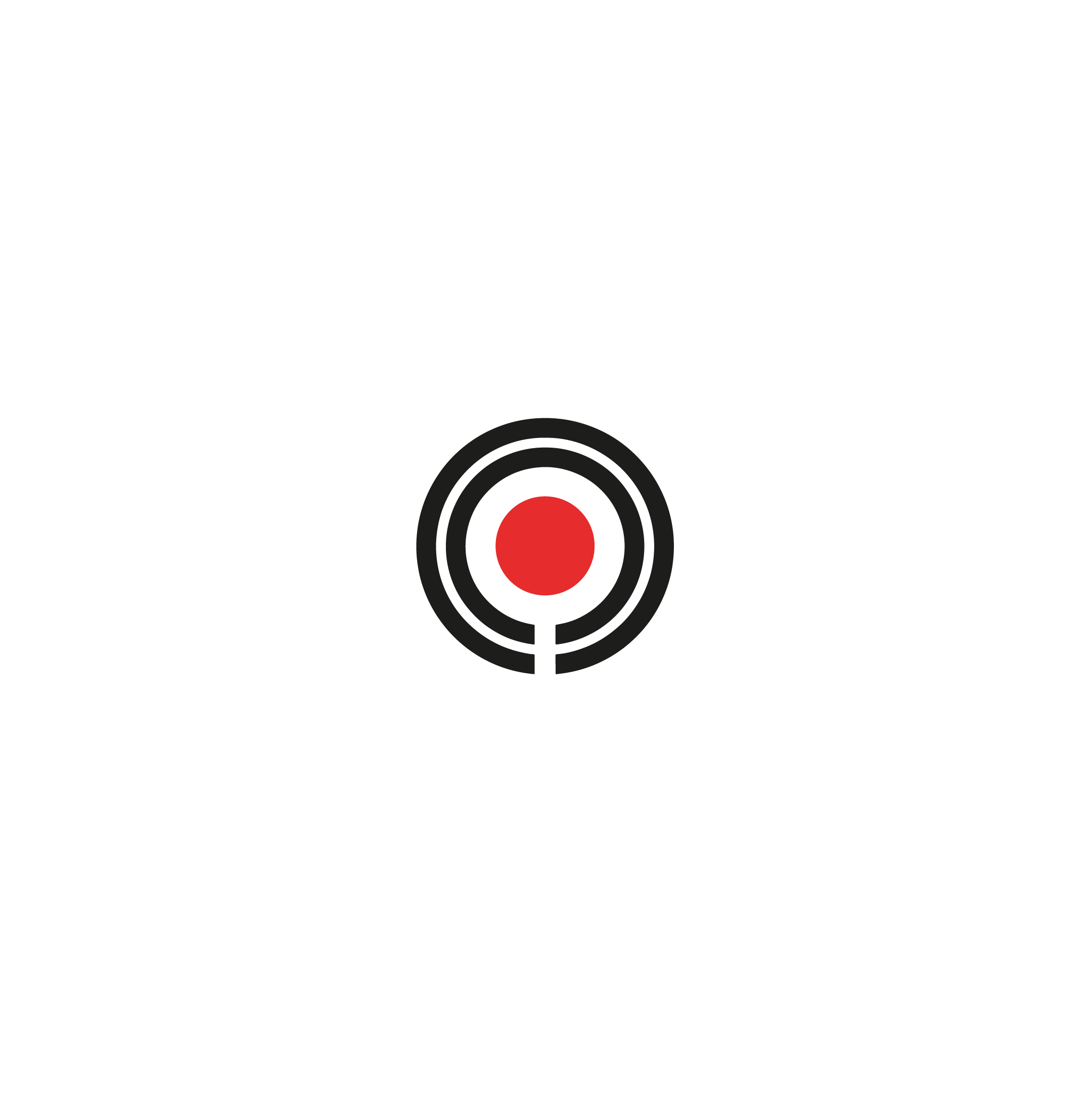 Single Image