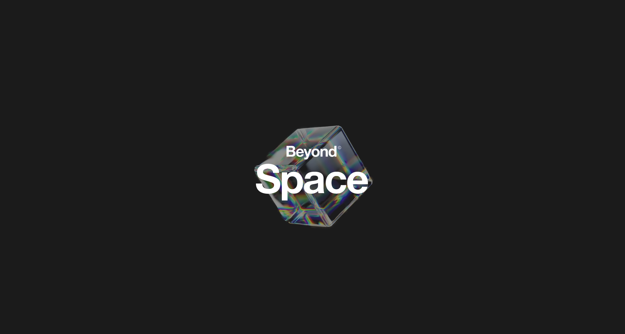 Single Project Image